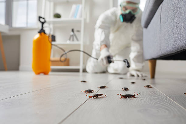 Commercial Kitchen Cockroach Control in Portage